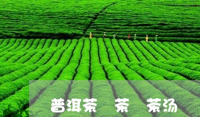 普洱茶 茶 茶汤/2023031770714